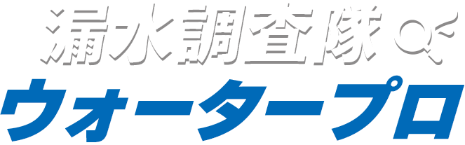 漏水調査隊 ウォータープロ