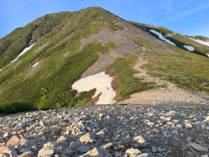 山